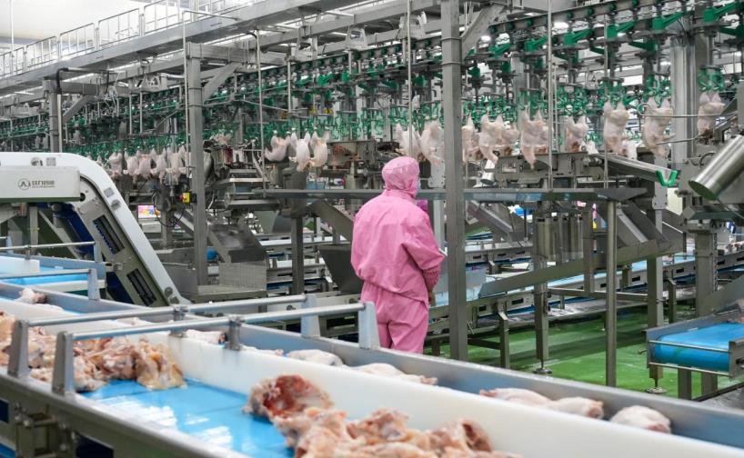 安徽固鎮(zhèn) 一只雞的數(shù)智化“雞遇”日用品