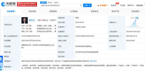 金山辦公黑龍江落子，跨界布局通信與照明領域引發關注